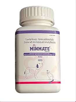 INTAS MINMATE TAB 30 TAB