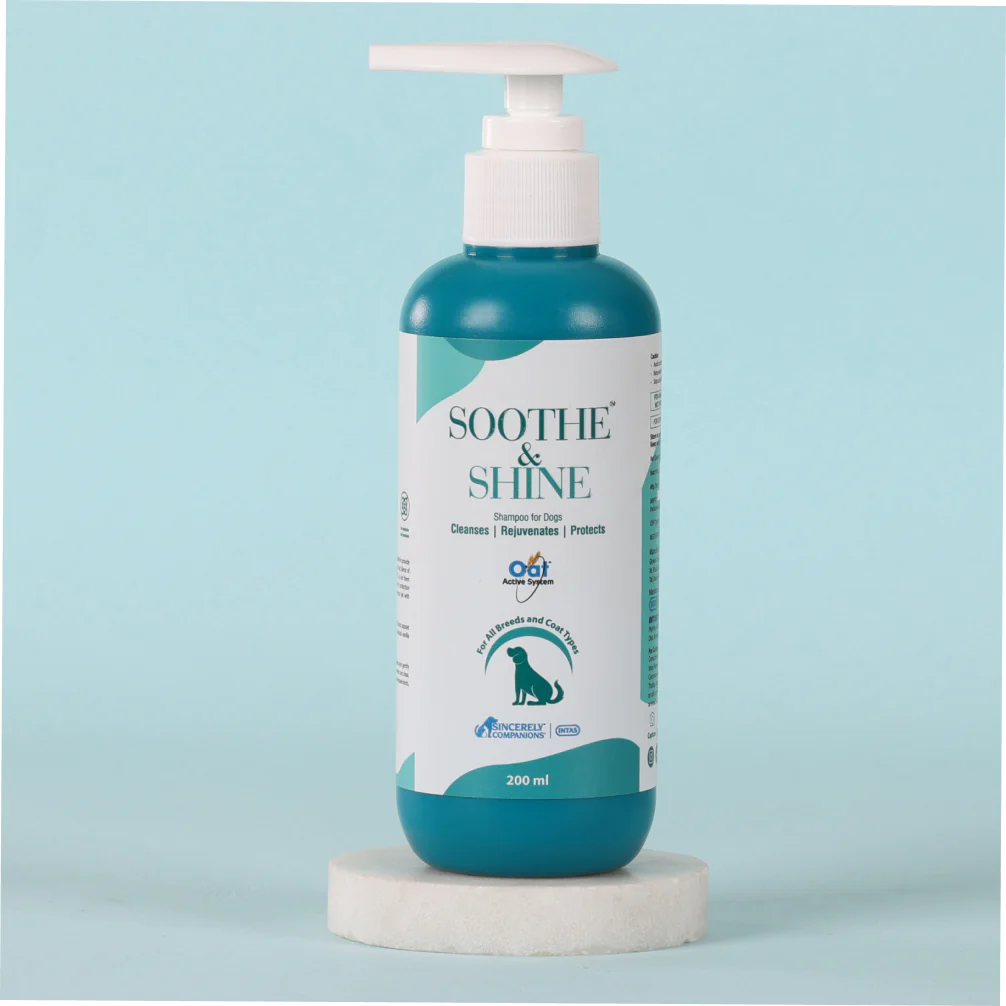 INTAS SOOTHE & SHINE SHAMPOO 200 ml