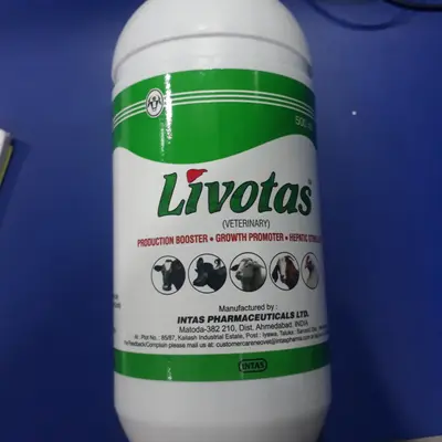 LIVOTAS SYRUP PET 200 ml