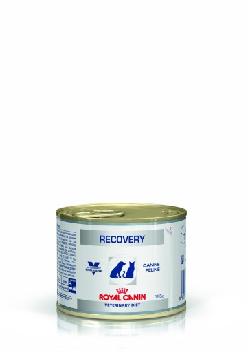 RC RECOVERY CAN FOOD 195 gm