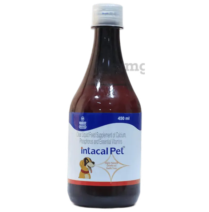 SYRUP INTACAL PET 450 ml