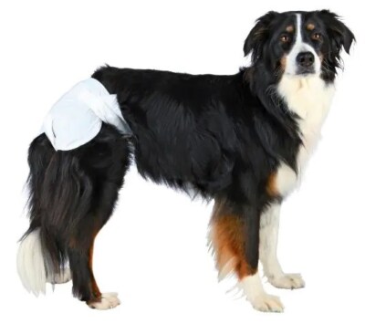 TRIXIE DIAPERS FOR FEMALE DOGS,S-M 12 PC