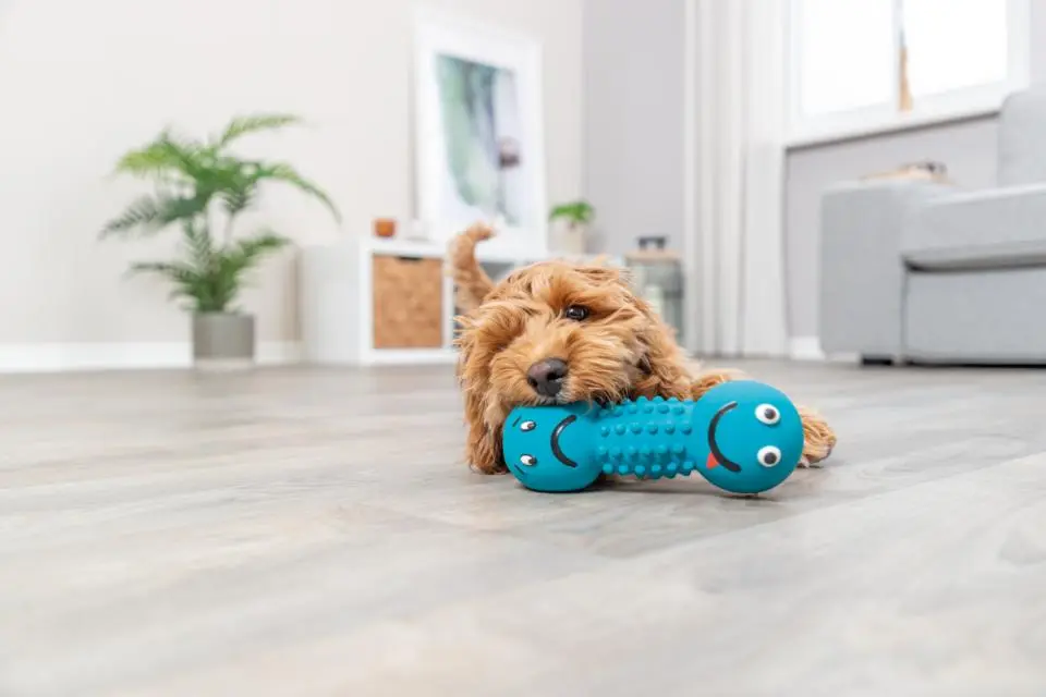 TRIXIE DUMBBELL VINLY - L 1 PC