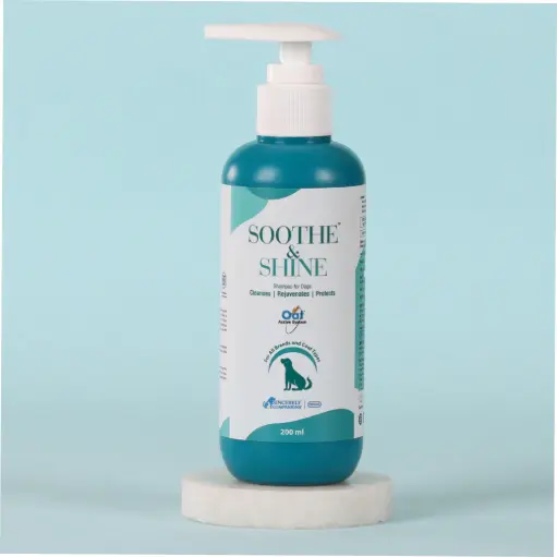 INTAS SOOTHE & SHINE SHAMPOO 200 ml