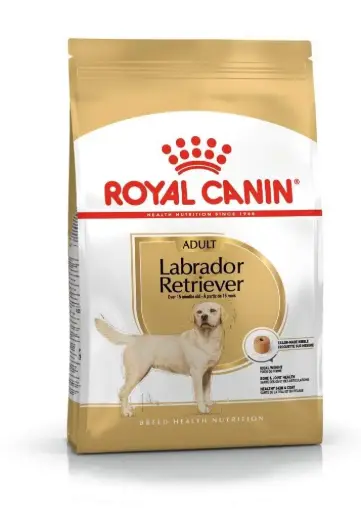 RC LABRADOR ADULT 3 Kg