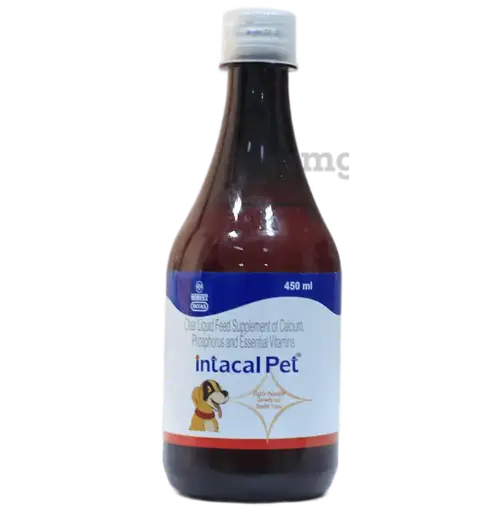 [SYRUP-INTACAL-PET-450-450ML] SYRUP INTACAL PET 450 ml
