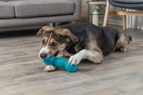 [TRIXIE-DUMBBELL-VINLY-L] TRIXIE DUMBBELL VINLY - L 1 PC